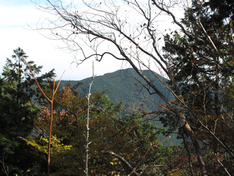 20171102hike (59)